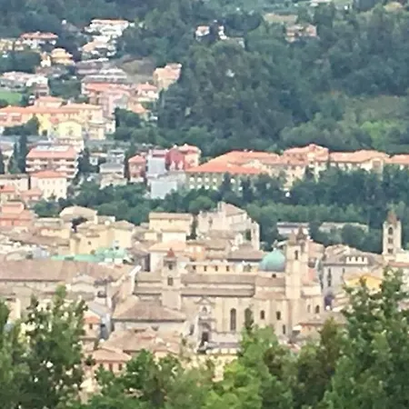 L'Acerba B&B-3
