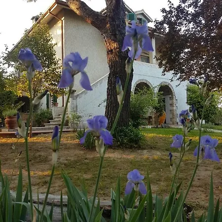 MeraVilla-2